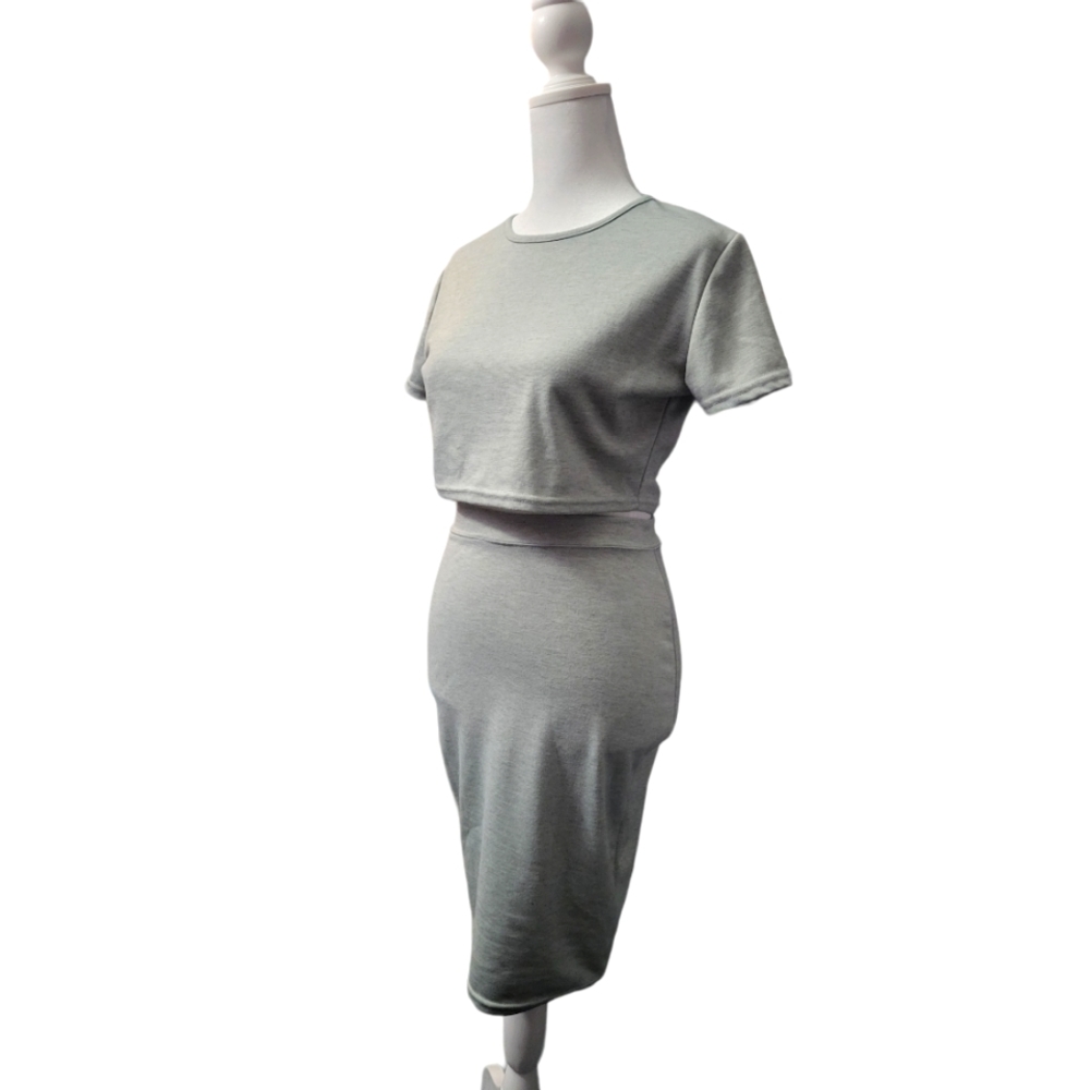 Small Two Piece Gray Crop Top & Pencil Skirt Outfit